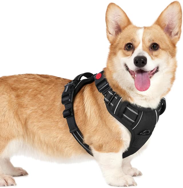 Detalle de rabbitgoo Small Dog Harness with Neck Release Buckle (Black, S)