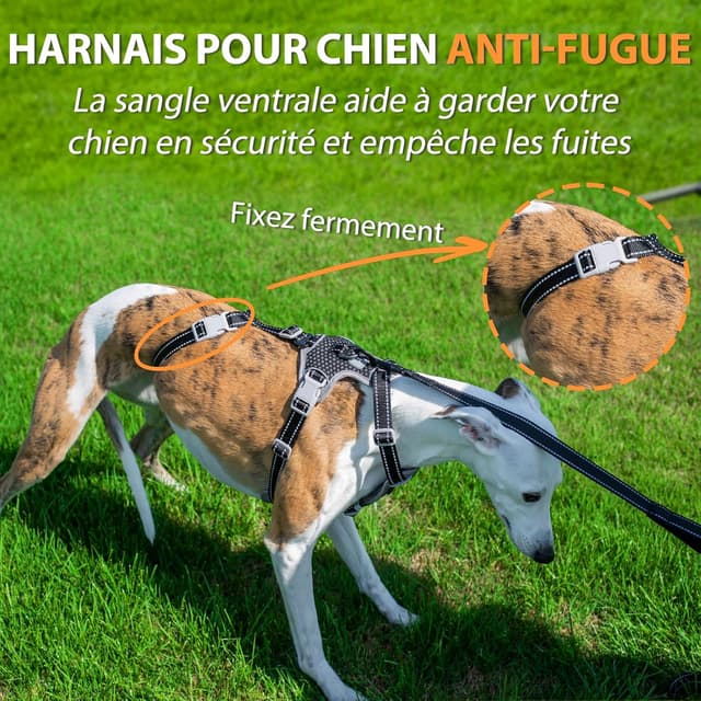 Detalle de Huntboo Harnais anti-fugue réfléchissant anti-traction pour chien (noir, taille L)