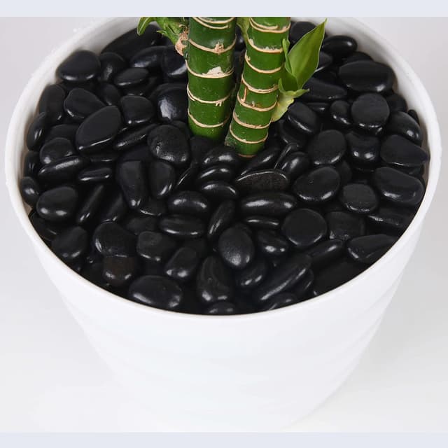 Thumbnail 1 de Hisredsun Decorative Black River Stones 3.96 lb 🪨