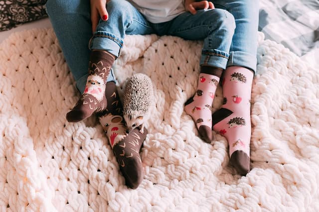 Detalle de Dedoles Socken Unisex (Damen, Herren & Kinder) aus Baumwoll-Mix mit lustigen Designs – links/rechts unterschiedlich