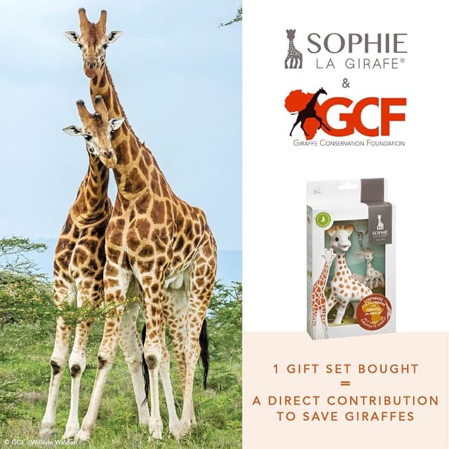 Thumbnail 1 de Sophie la girafe x GCF Paquete de juguete 🧸