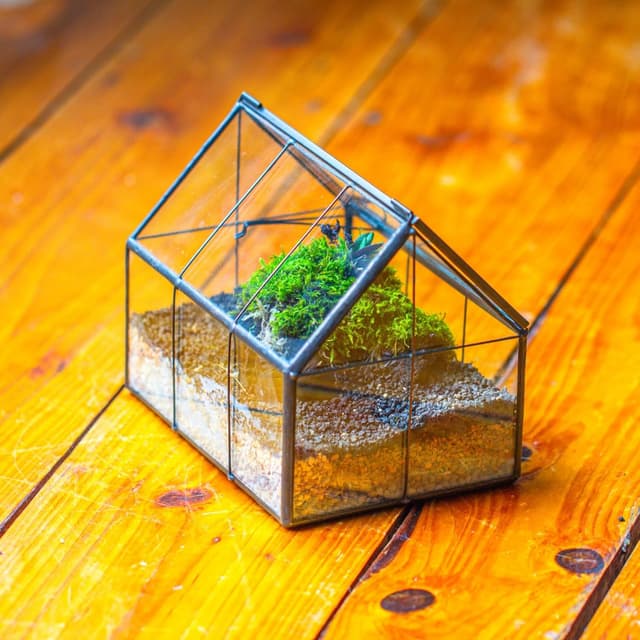 Detalle 2 de NCYP mini glass terrarium, 15.5 cm