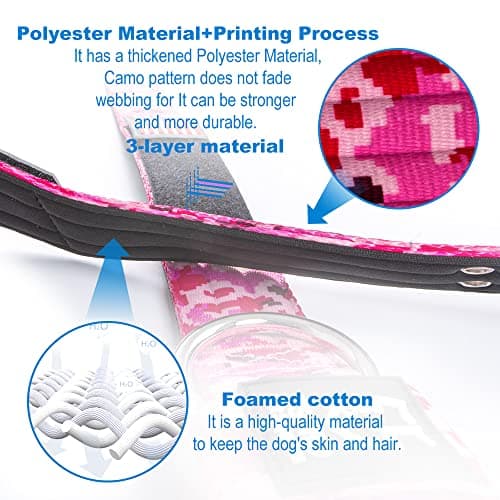 Detalle 1 de TSPRO Collar Táctico 3,8 cm para perros