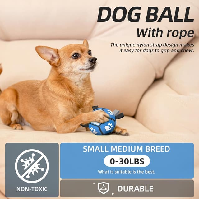 Detalle de HETOO Interactive Dog Football Toys with Webbing – 5 Inch Dog Water Ball for Small to Medium Breeds (Blue/Gray)