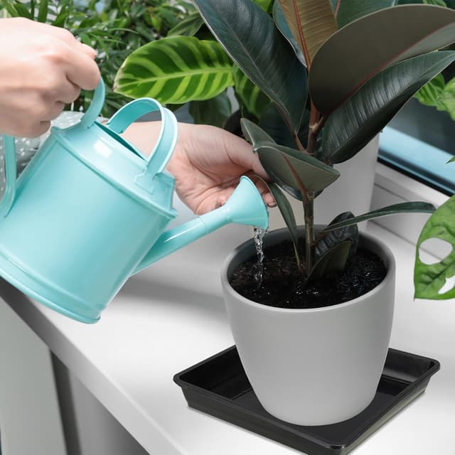 Thumbnail 6 de PATIKIL 9 inch square plant saucers (10-pack) in black plastic