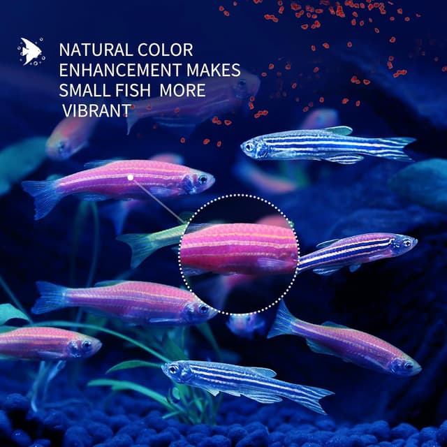 Thumbnail 3 de Nobleza Cibo per pesci piccoli 45 g 🐟