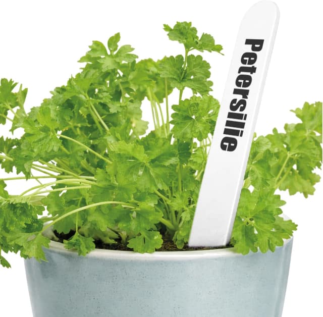 Thumbnail 6 de com-four® confezione da 100 etichette per piante con matita, a innesto da 12 cm (bianco)