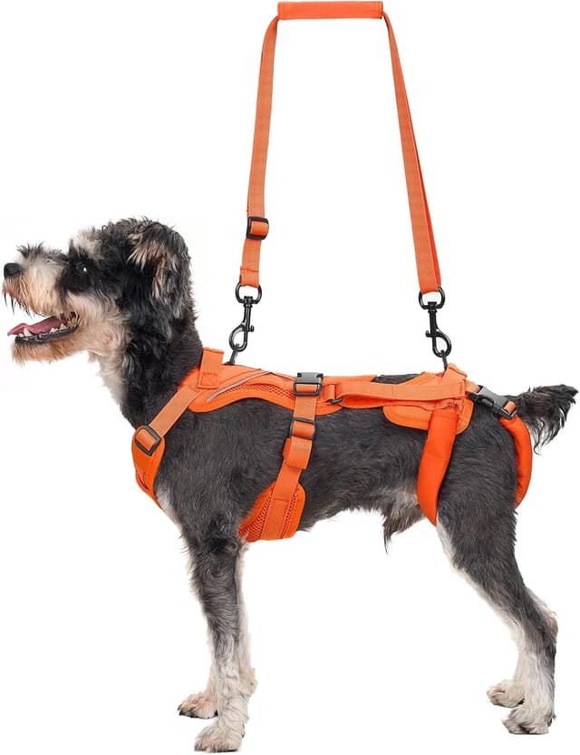 Detalle de OneTigris Hopper harnais pour chien avec 2 poignées de soutien réglables, orange, taille XS