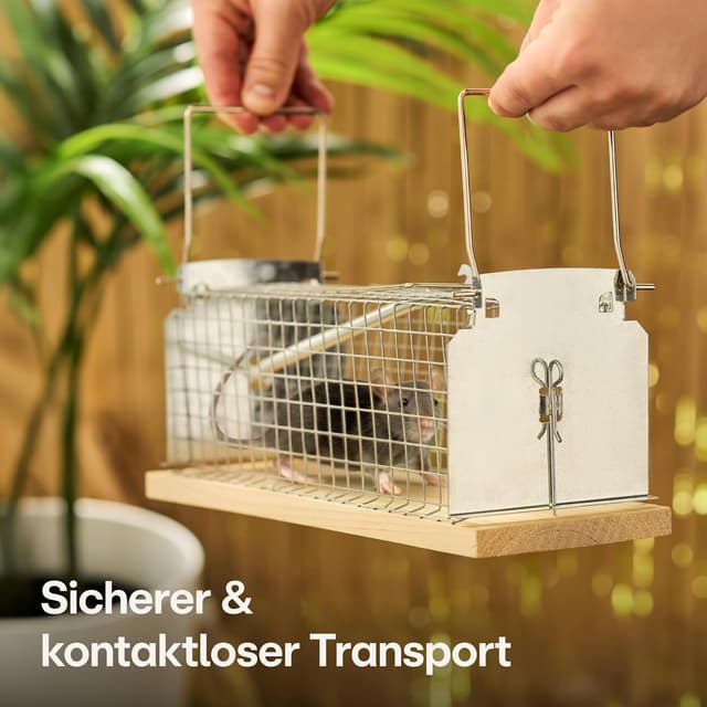 Detalle de Praknu Lebendfalle für Ratten und Mäuse, 30 cm aus FSC®-Holz – wiederverwendbar & tierfreundlich