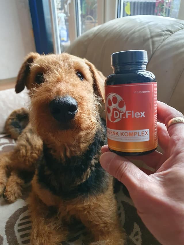 Detalle 2 de Dr. Flex Complexe Articulaire & Osseux pour chiens – 110 gélules, glucosamine, chondroïtine, MSM, curcuma & pipérine