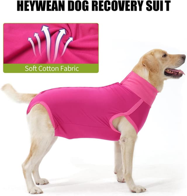 Detalle de HEYWEAN Body post-operatorio per cani (tutina chirurgica) con zone regolabili per maschi e femmine