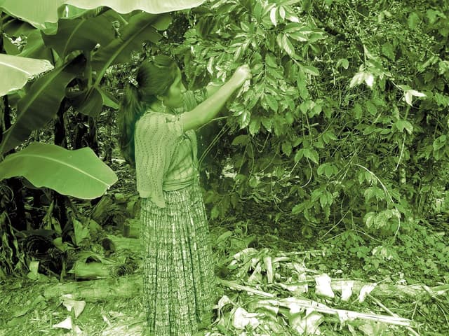 Thumbnail 3 de CAFFÈ CORSINI 1950 Compagnia dell’Arabica Monorigine El Salvador (100% Arabica) in grani, set 3 x 250 g