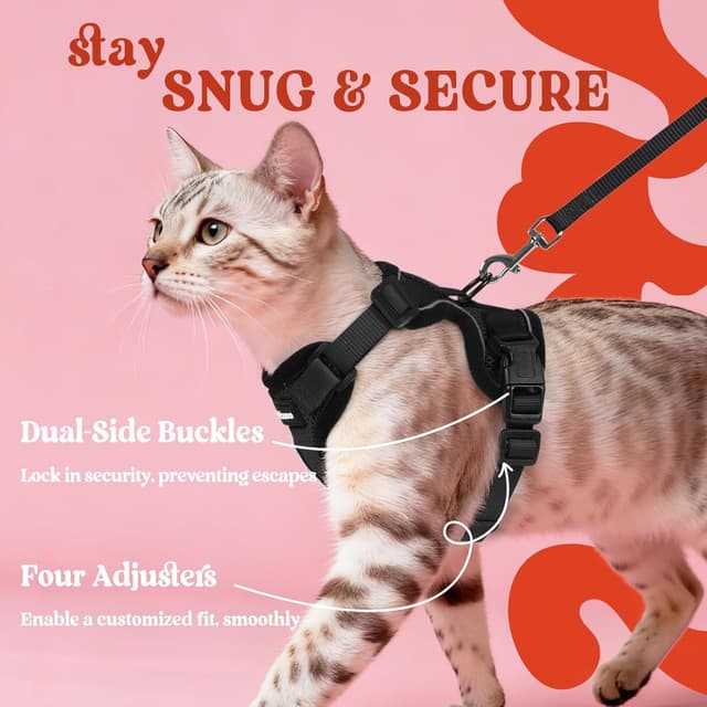 Thumbnail 5 de rabbitgoo XS cat harness and leash, reflective 🐱