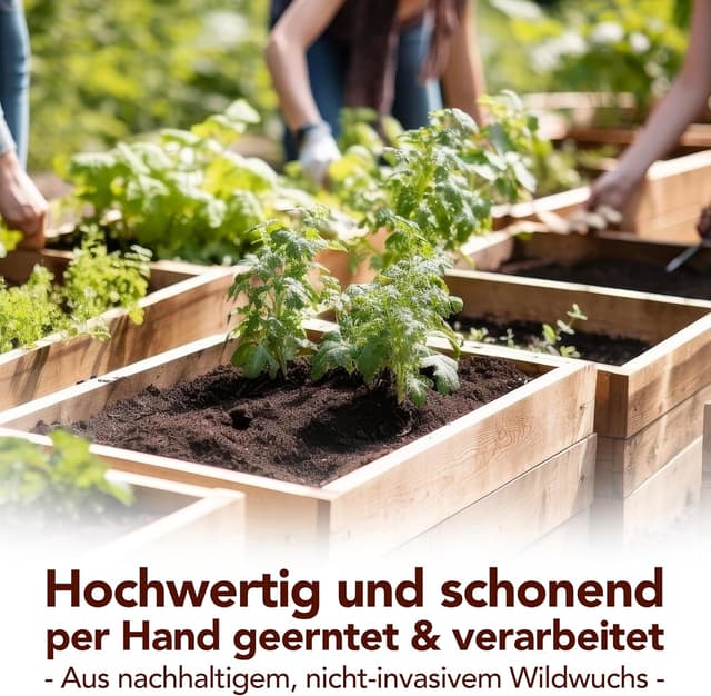 Detalle 2 de Premium Artemisia-Annua-Auszug 50 ml – alkoholfrei, 100% reines Naturprodukt