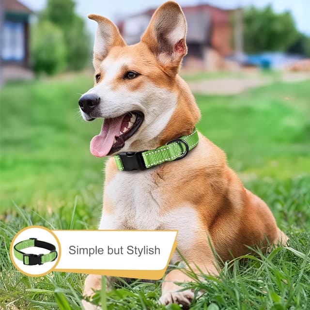 Detalle 2 de HEELE collier pour chien réfléchissant en néoprène rembourré ajustable (XS) – Vert gazon