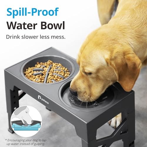 Detalle 2 de Petace Comedero Elevado de Acero Inoxidable