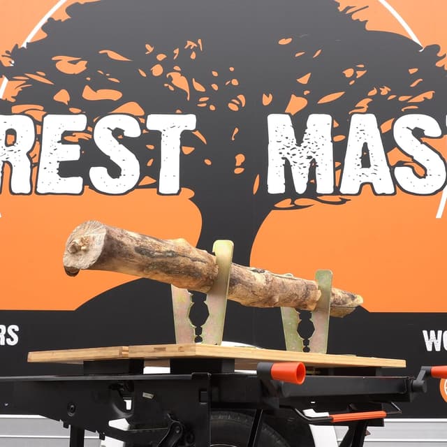 Thumbnail 6 de Forest Master BJLOG morse per banco lavoro