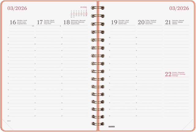 Thumbnail 4 de Finocam Agenda Spirale 2026 Corail