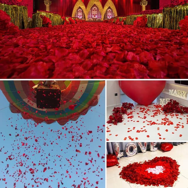 Detalle de ANMOYIXIA Artificial Rose Petals (1000) – Red silk-style rose petals for bedroom, weddings and proposals