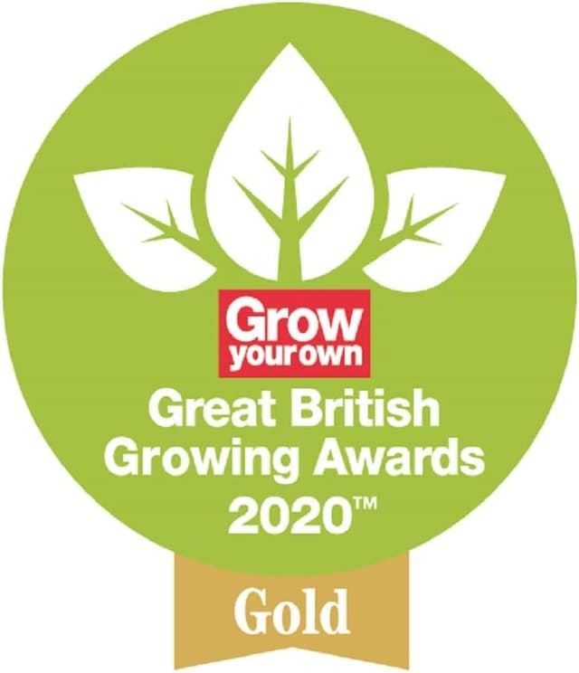 Thumbnail 2 de Spear & Jackson 2194NS Pala de Borde de Acero al Carbono 🏡