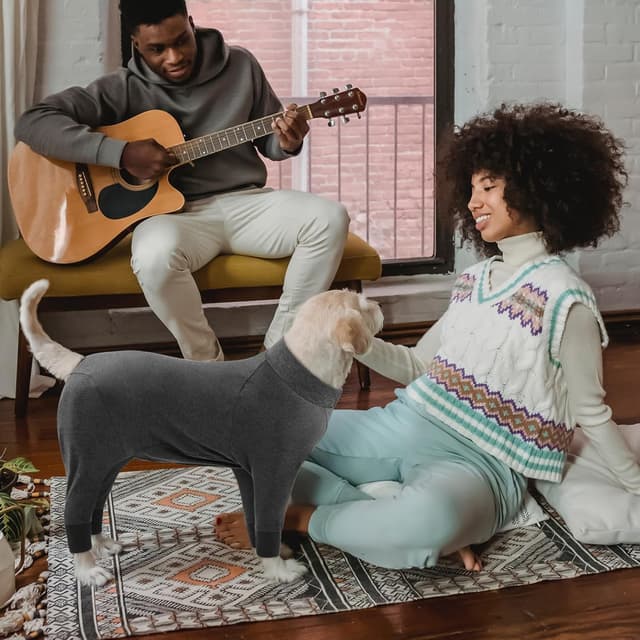 Detalle 2 de CITÉTOILE Einteiler-Erholungsanzug für Hunde (Langarm), OP-/Wundschutz-Body – Grau, Größe M