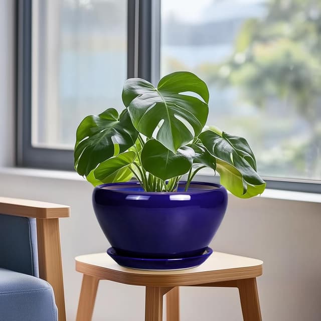 Thumbnail 3 de Ceramicfor Planter 9 Inch for Indoor Plants 🌱