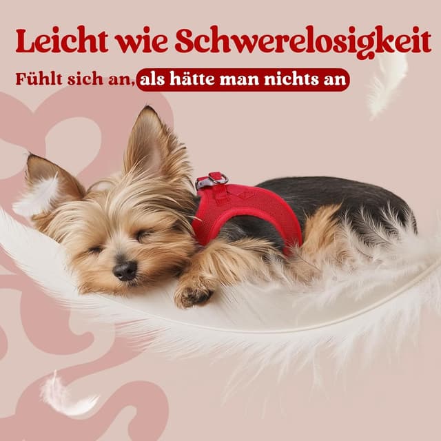 Detalle 2 de rabbitgoo Hundegeschirr Step-in für kleine Hunde (Größe M) – weiches Air-/Mesh, reflektierend, rot