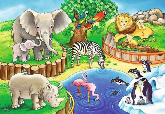 Thumbnail 2 de Ravensburger Puzzle Animali dello Zoo 2x12 pezzi 🧩