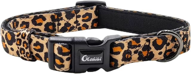 Thumbnail 6 de Olahibi Basic Dog Collar (S) Padded Neoprene Polyester Webbing with Daisy Pattern