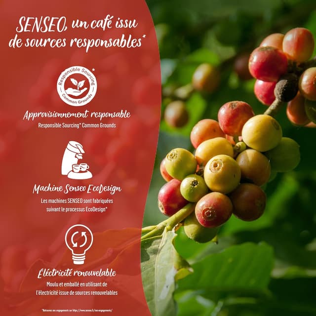 Thumbnail 3 de Senseo Classique 40 dosettes 277 g pack