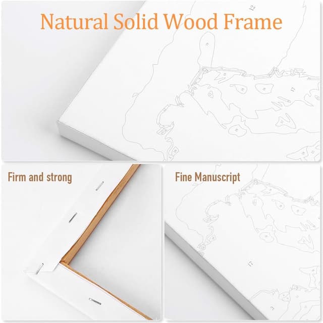 Thumbnail 4 de gelrovaled Pintar por Números 30x40 enmarcado