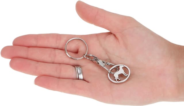 Detalle de com-four Portachiavi in metallo con moschettone e chip per carrello della spesa, 5 pezzi (motivi cavallo, gatto, cane, salamandra, scoiattolo)