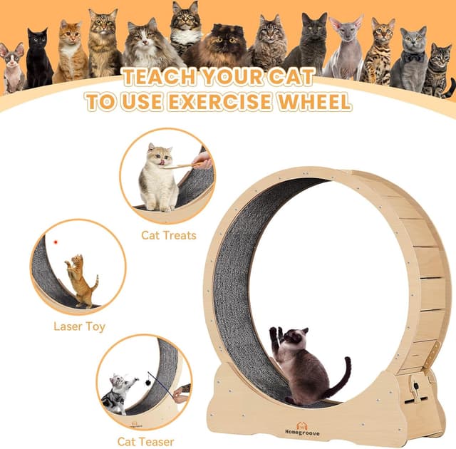 Detalle de homegroove Cat Exercise Wheel 43 inch