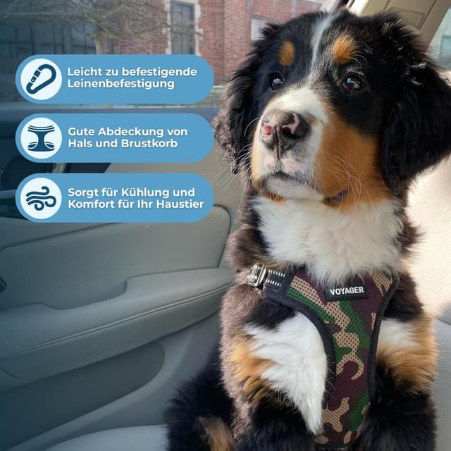 Thumbnail 1 de Voyager Verstellbares Hundegeschirr size S đ