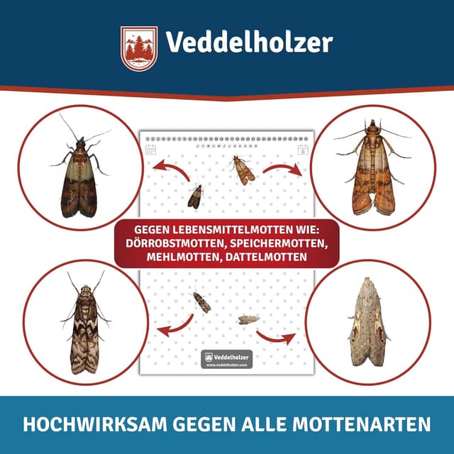 Detalle de Veddelholzer Lebensmittelmotten-Falle 10 Stück