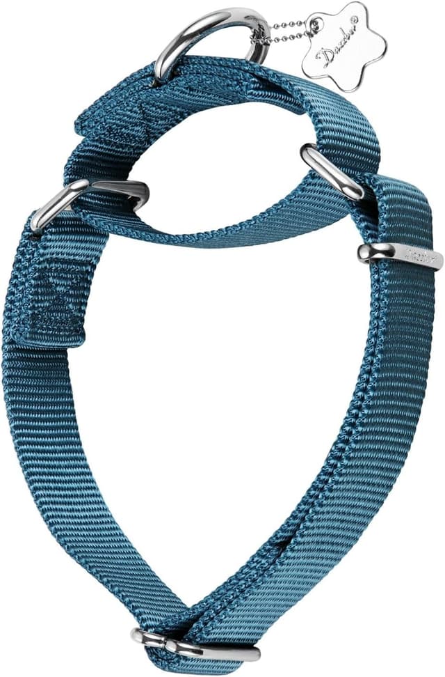 Imagen de Dazzber Martingale Dog Collar 43-64 cm en OfertitasTOP