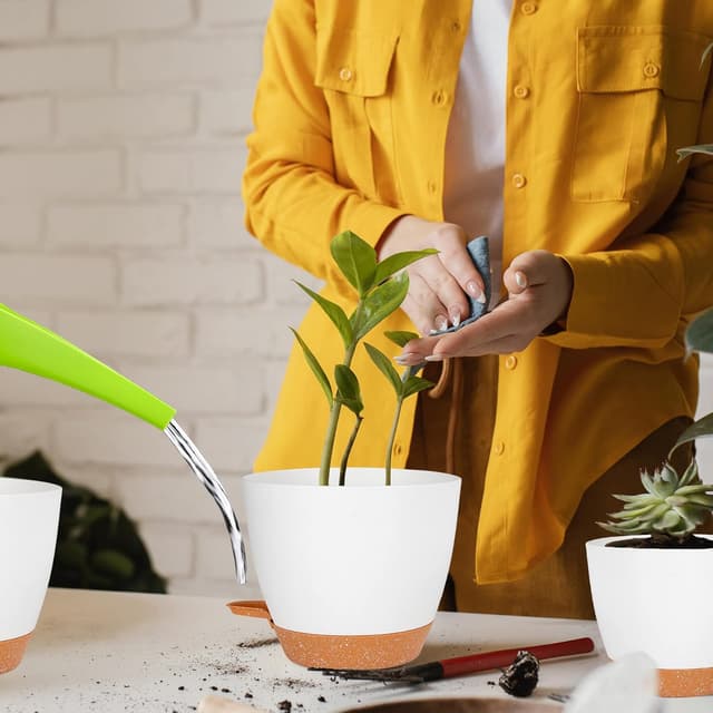 Thumbnail 6 de CSYY Plant Pots Indoor 7-Pack