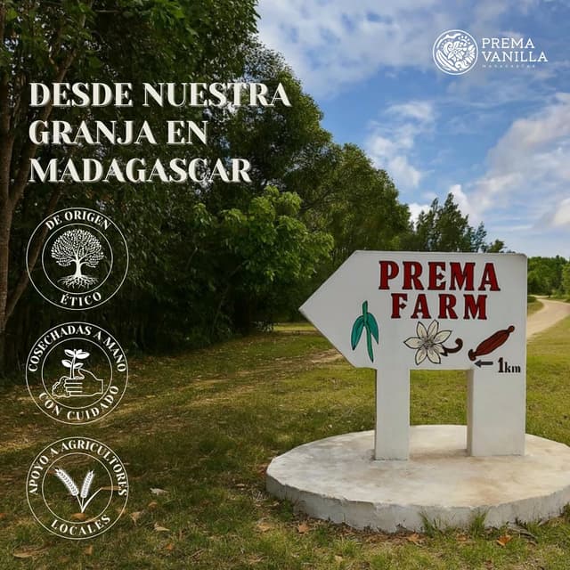 Thumbnail 5 de PREMA VANILLA Vainas Bourbon 14-18 cm 🍮