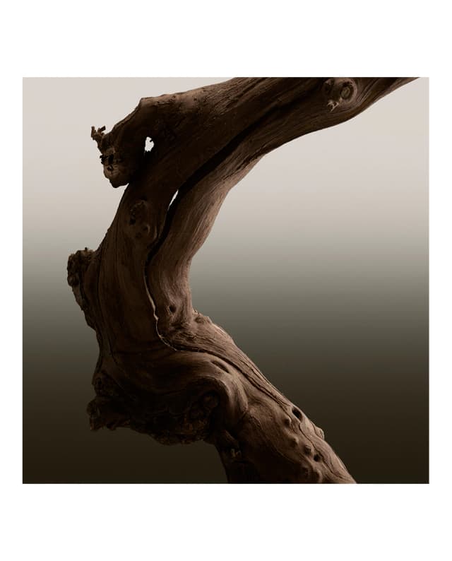 Thumbnail 5 de Burberry Eau de Parfum Hero 100 ml 🧴