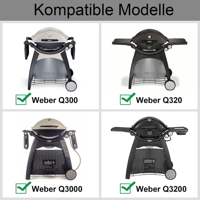 Detalle 2 de MGiessca Grillrost 7646 für Weber Q300
