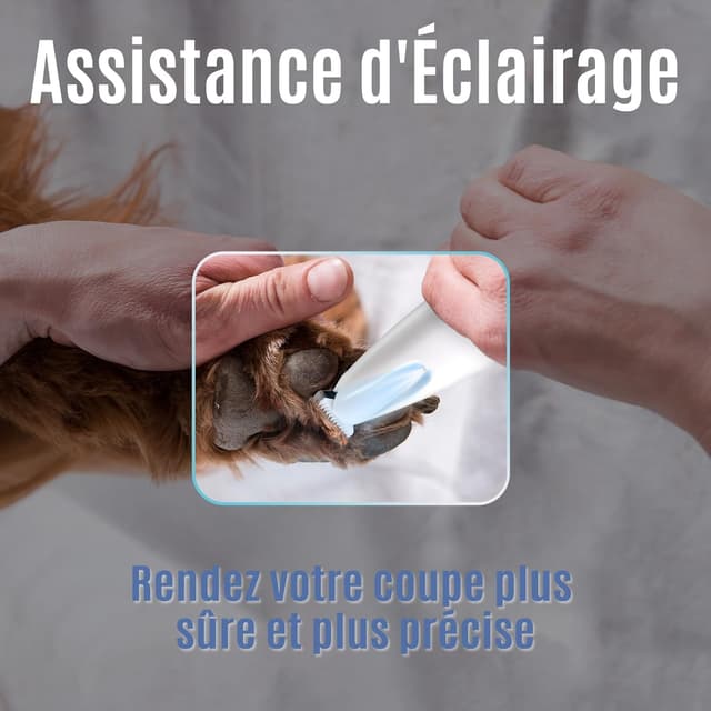 Thumbnail 5 de Pjordo Tondeuse pour chien 18 mm