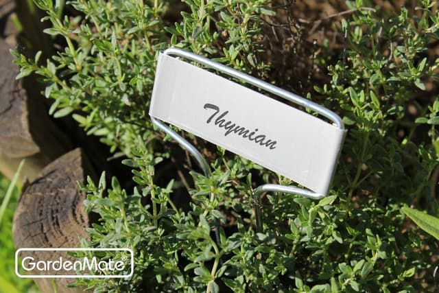 Thumbnail 5 de GardenMate étiquettes plantes métal 25