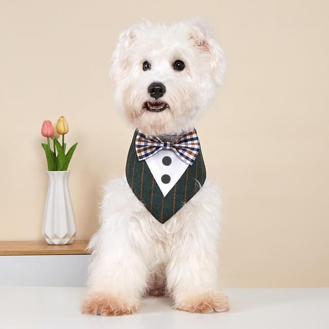 Detalle de Tuxedo Collar Bandana Bow Tie for Dogs and Cats (M Green) – Small to Large Wedding Outfit