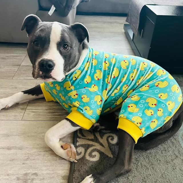 Thumbnail 6 de KYEESE Velvet Dog Pajamas Onesie (Yellow Duck Print) – 2XL