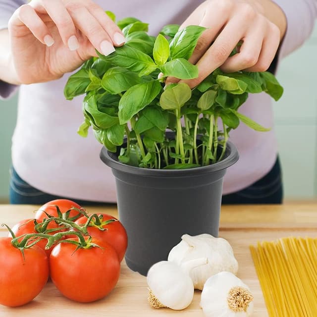 Thumbnail 6 de KINGLAKE 50 black 10cm plastic plant pots + 100 white plant labels set for seedlings and cuttings