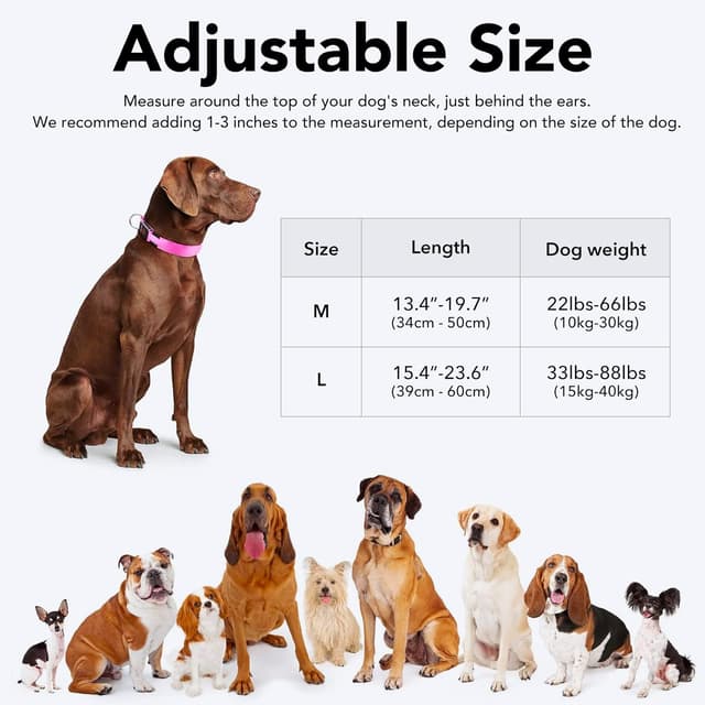 Detalle de KOSKILL Leuchthalsband für Hunde, wiederaufladbar per USB, wasserdicht, rosa (M)