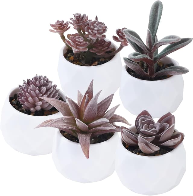 Imagen de BUCOMTU 5Pieces Plantes artificielles 5 pcs en OfertitasTOP
