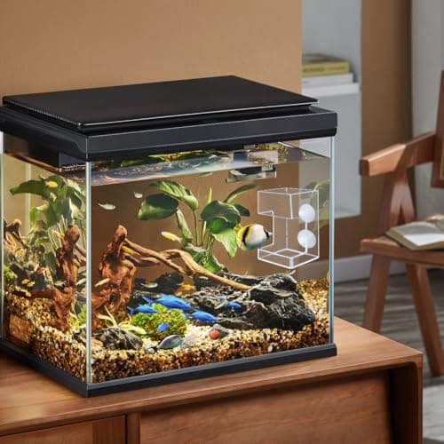 Thumbnail 6 de Acrylic Automatic Feeding Ring for Fish Tank 🎣