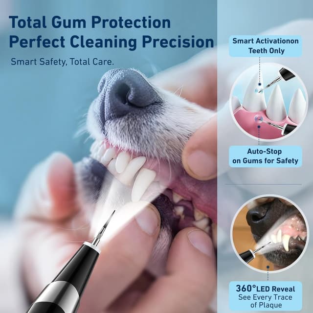 Thumbnail 3 de InFanso PR400 ultrasonic plaque remover 5-mode for pets