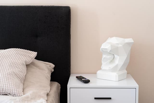 Detalle 2 de NEUSTEIN Panther Taschentuchbox – Taschentuchspender mit Pantherkopf-Design in Weiß (21 x 23 x 30 cm)